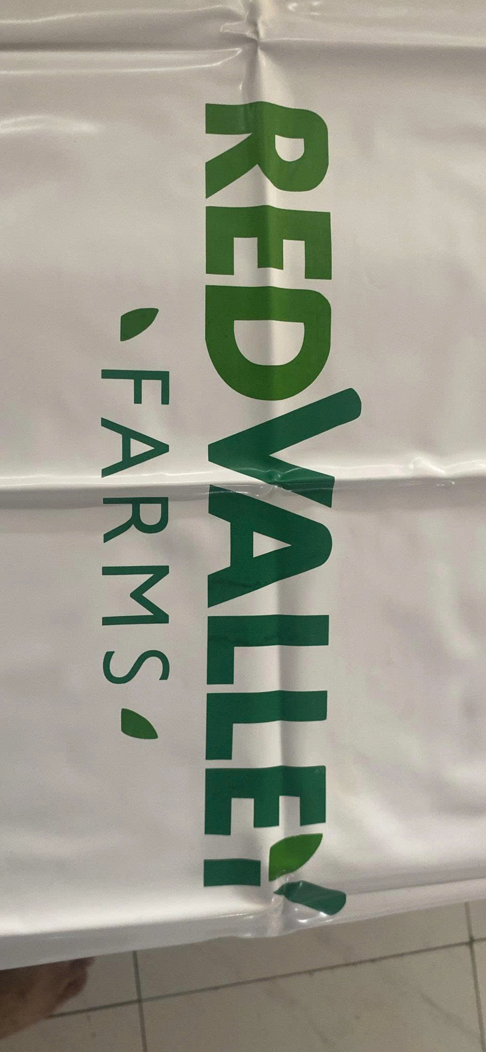 tạp dề in